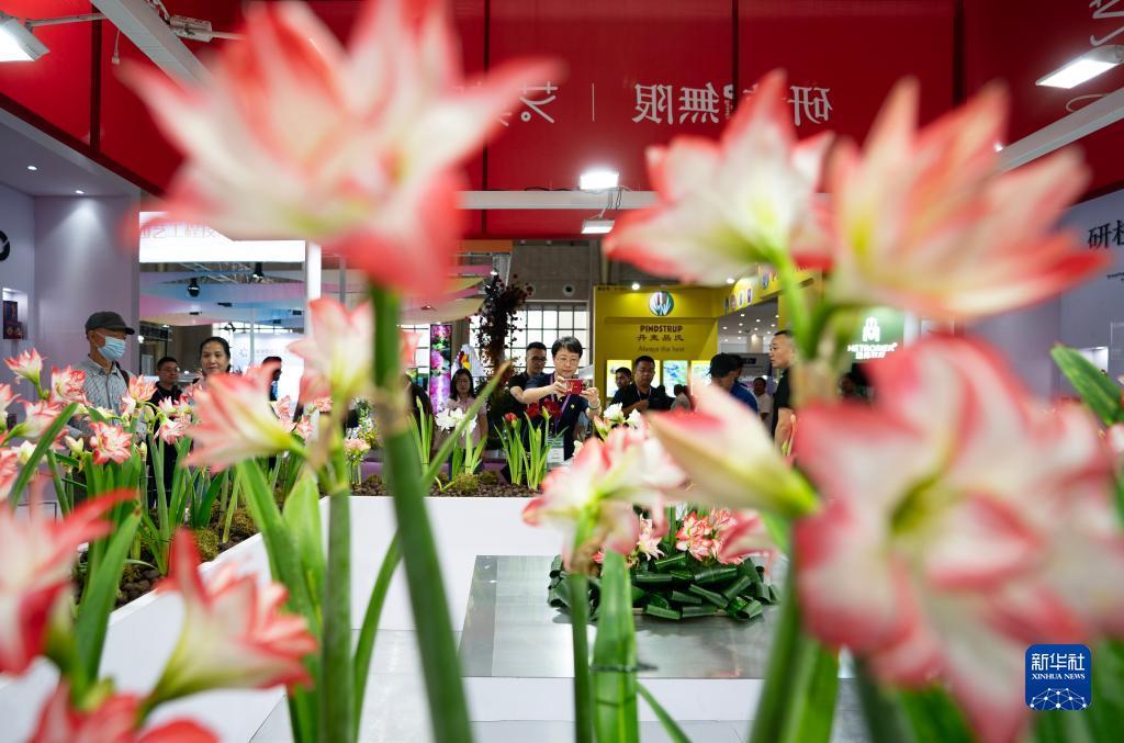 吉祥娱乐平台登录